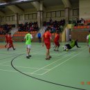 Halwka3 77
